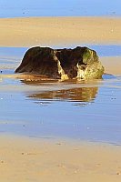 Stein schlafender Hund HF