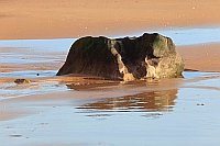 Stein schlafender Hund im Wass