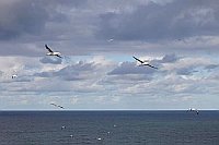 Basstoelpel Wolkenhimmel Nords