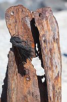 Schrott Liebespaar Helgoland