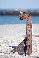 Wegweiser mit Steinschmaetzer