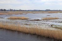 Pareysche Wiesen ueberschwemmt