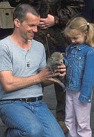 Christian Erdmann_Fuchswelpe