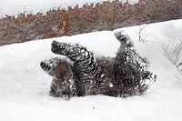 Baer Jungtier waelzt sich im S