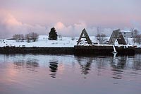 Stockfisch Gestelle vor lila S