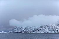 Trollfjord_Muendung Schneewol