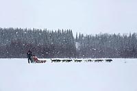 Husky Schlittenfahrt bei Schne