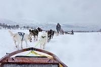 Husky Schlittenfahrt in Winter