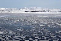 Barentsee Eisschollen