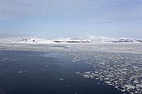 Barentsee Schnee u Eisschollen