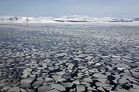 Eisschollen Barentsee