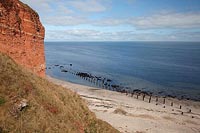 Helgoland Fels mit Strand Nord
