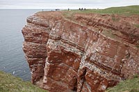Helgoland Lummenfelsen