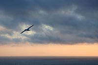 Basstoelpel bl Abendhimmel