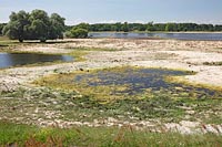 Elbe nach Hochwasser Gnevsdorf