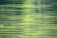 Wasserspiegelung in Gruen