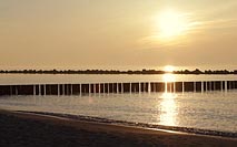 Buhnen im gelben Abendlicht