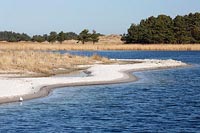 Libbertsee Sandbank Dar�er Ort