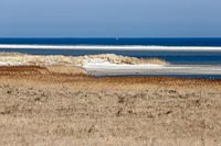 Ostsee am Dar�er Ort Schilf