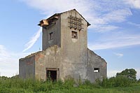Turmfalken Nistplatz