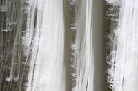 Baeume Schnee federartig