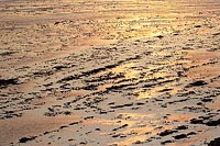 Felswatt goldenes Abendlicht