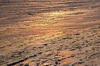 Felswatt rotgoldenes Licht