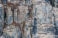 Alkefjellet Lummenfelsen