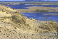 Duene Klein Schmoelen Elbe