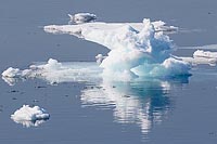 Gletscherrest Packeisgrenze