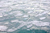 Eis Schnee Reste Spitzbergen