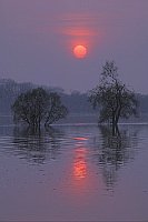 Elbhochwasser Sonnenuntergang