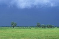 Gewitterhimmel Elbtalaue