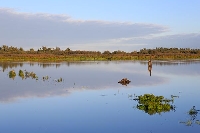 Meerbruchwiesen Wasserflaeche