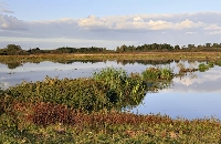 Meerbruchwiesen Winzlar