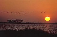 Sonnenaufgang Bodden