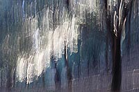 Steineichen blaugruenlila