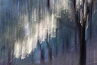 Steineichen im Gegenlicht