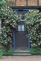 Haustuer mit Rosen Elbtal