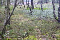 Grosse Heide Wanderweg Beginn