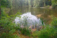 Teich vor Grosse Heide