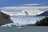 Grey Gletscher mit Lago Grey