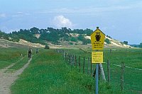 Duene b Kl Schmoelen Elbtal