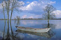 Hochwasser mit Boot Elbtal