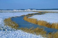 Lenzer Wische Winter Elbtal