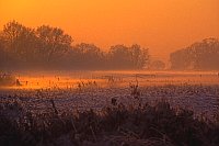 Niederung im Abendl Elbtal
