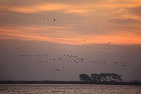 Morgenhimmel m Zugvoegeln