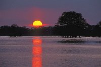 Sonnenunterga Hochw Elbtal