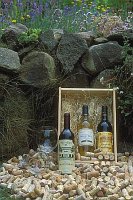 Spanische Weine Steinmauer