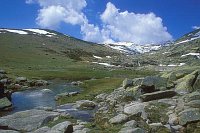 Bach Sierra de Gredos Extre